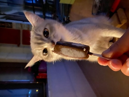 Oyuncu hareketli kızım fotoğraf