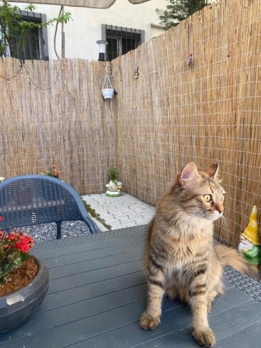 Cana Yakın çok zeki iyi ki dedirtecek kızım fotoğraf