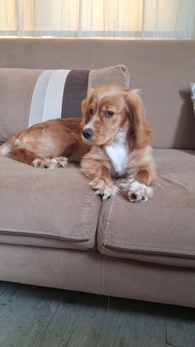 Bebeğimize yeni bir yuva arıyoruz fotoğraf