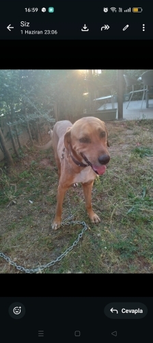Çok sevgi dolu, mutlu bir çocuk fotoğraf