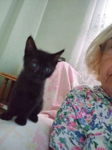 ŞİLAYA ÖMÜRLÜK YUVASINI ARIYORUM fotoğraf
