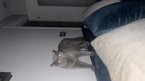 Onu emin ellere teslim etmek istiyorum fotoğraf