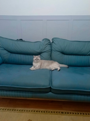 2 yasında kısır fotoğraf