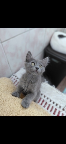 Ruhi bebege yuva fotoğraf