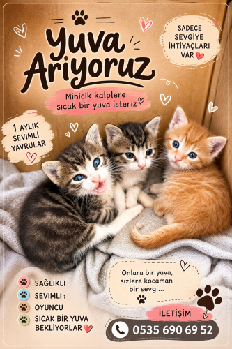 Çocukların elinden kurtarıldı 1 yada 1.5 aylık bebekler fotoğraf