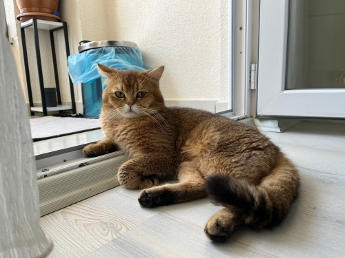 Bu miskin oğlana ömürlük yuva arıyoruz fotoğraf