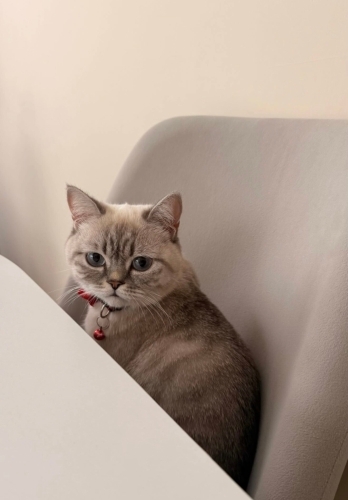 Kızımız Mia'ya Yuva Arıyoruz fotoğraf