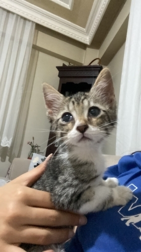 BEBEK KARDEŞLERE YUVA ARIYORUZ fotoğraf