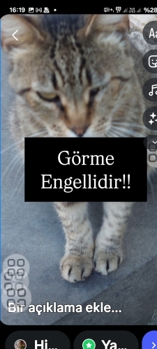 Görme engellidir fotoğraf