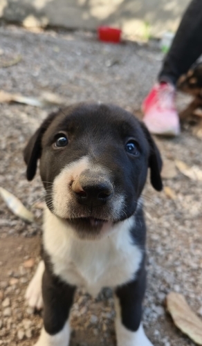 Argos Yuva Arıyor fotoğraf