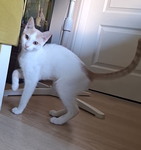 Çok sosyalim kapalı kapıları sevmem :P fotoğraf
