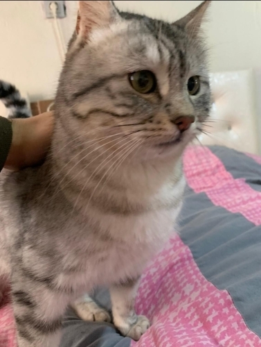 Tatlı oğlumuz Dumana ömürlük yuva fotoğraf