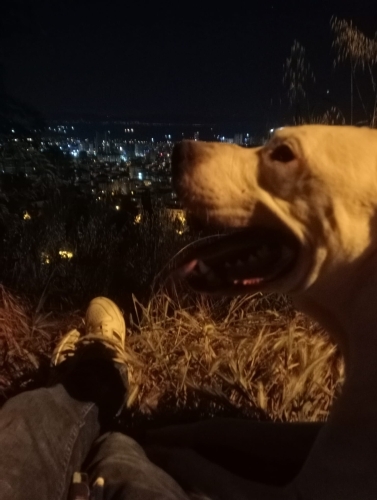 Çok acil yuva arıyoruz fotoğraf