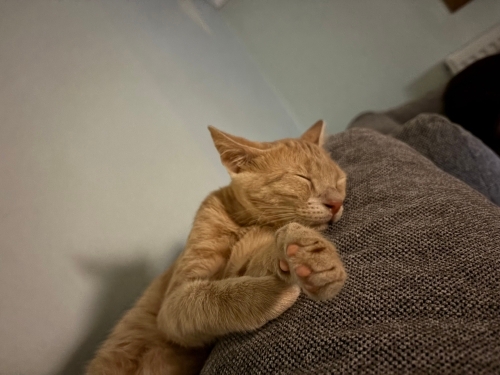 Çok hareketli oynak tatlış bir bebek fotoğraf