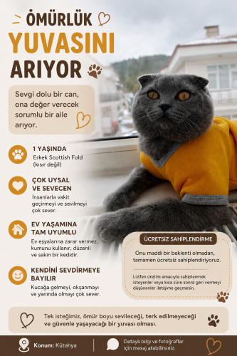 PATİ'YE ÖMÜRLÜK YUVA fotoğraf