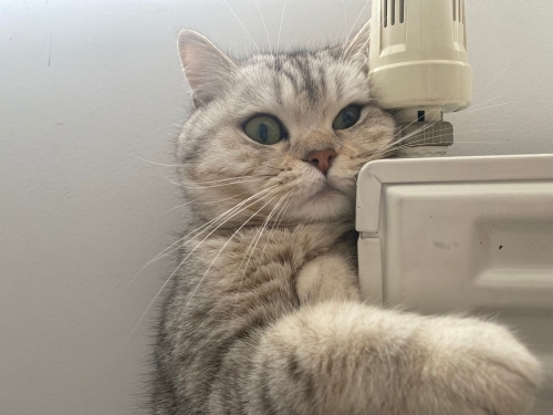 2 yaşında güzel kızım fotoğraf