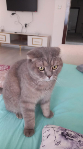 ERKEK KISIR ACİL ÖMÜRLÜK YUVA fotoğraf