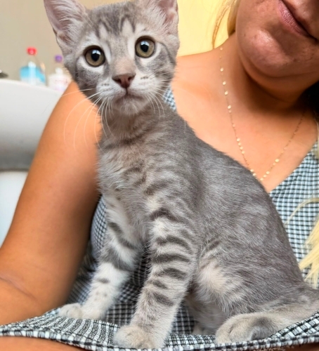 Muğla Bodrum depoda yaşayan minik fotoğraf