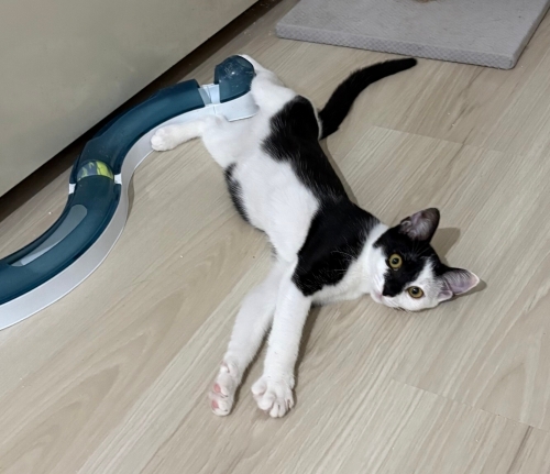 3 aylık Pamuk kıza yuva fotoğraf