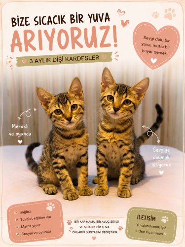 °•İKİZ KIZ KARDEŞLER YUVA ARIYOR•° fotoğraf