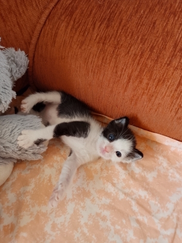 Şanssızlığımı Şansa Çevirelim fotoğraf