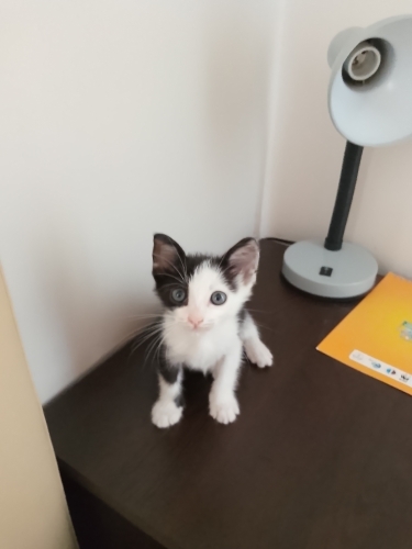 Şanssızlığımı Şansa Çevirelim fotoğraf