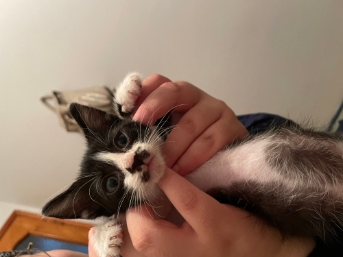Annesinin terk ettiği bebeğe ömürlük yuva fotoğraf