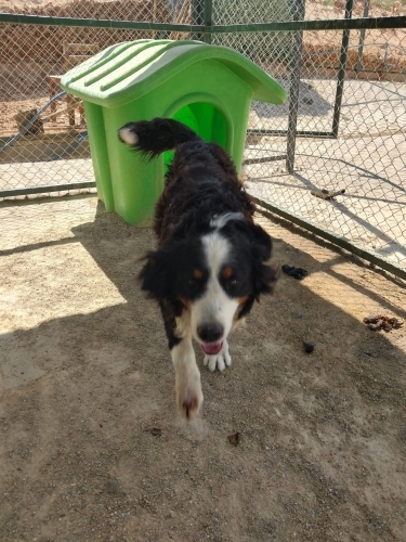 Çok acil yuva lütfen fotoğraf
