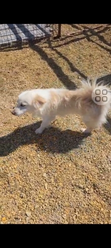 Acil yuva arıyorum fotoğraf