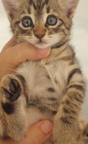 Muhteşem bir bebek🧿 oyuncu sevecen fotoğraf