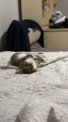 Doğaya yuva olun🥲 fotoğraf