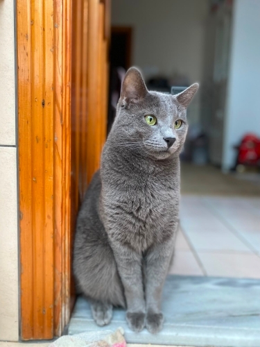 Dumana yuva ariyoruz fotoğraf