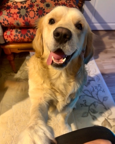 Dost canlısı Tarçın fotoğraf