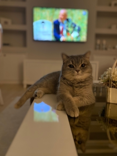 Kızımıza yuva arıyoruz fotoğraf