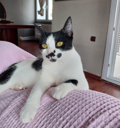 TEMAS BAĞIMLISI HARİKA BİR CAN YOLDAŞI: NEFES 🐾 fotoğraf