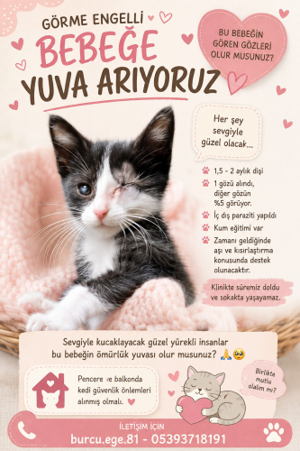Acil görme engelli bebeğe yuva arıyoruz fotoğraf