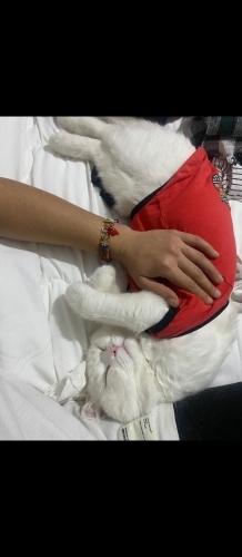 Lütfen açıklamayı okuyun fotoğraf