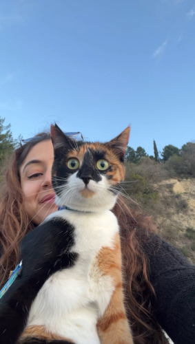 ŞEYTANIN BACAĞINI KIRMAYI BEKLİYOR fotoğraf