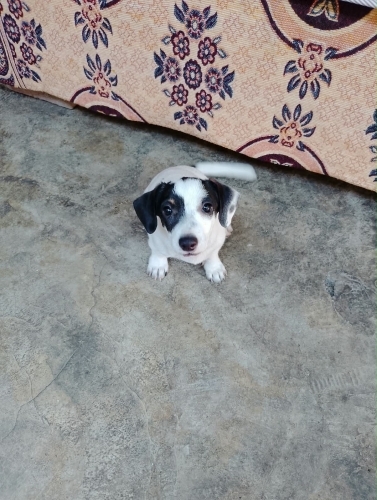 Enerjik, sağlıklı ve Aşılı bebeğe ömürlük 🏡 yuva fotoğraf