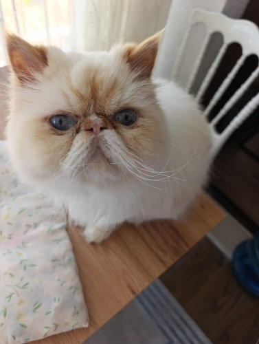 Dünyanın en tatlısı fotoğraf