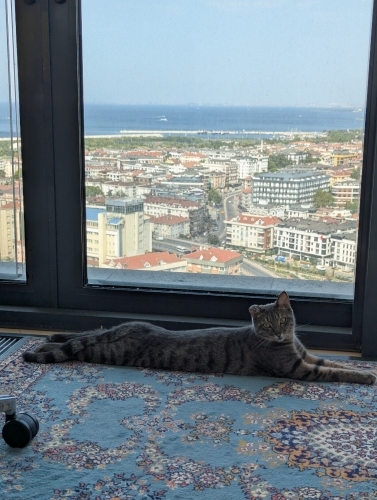 Felicia'nın yeni sahibine fotoğraf