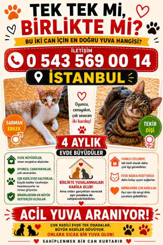 Yuva ol hayat kurtar fotoğraf