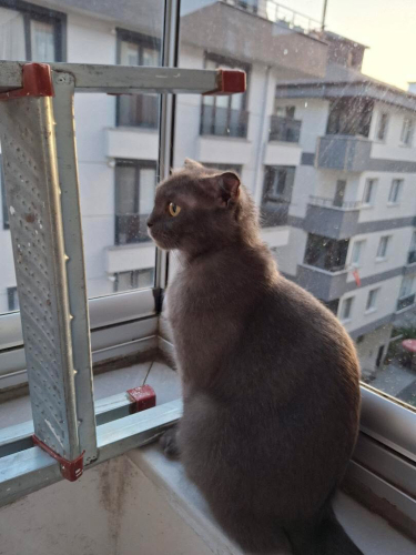 ACİL ÖMÜRLÜK YUVA fotoğraf