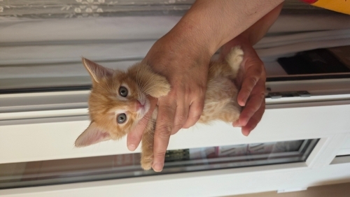 henüz bi ismim bile yok fotoğraf