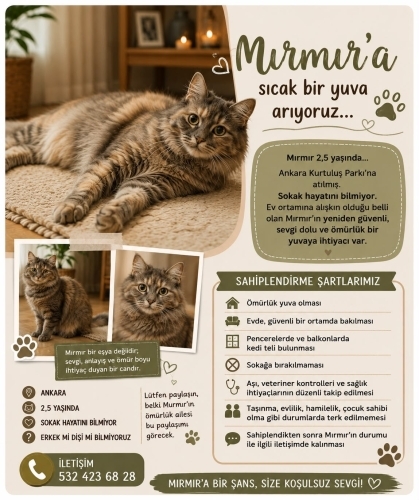 MIRMIR ÖMÜRLÜK YUVA ARIYOR fotoğraf