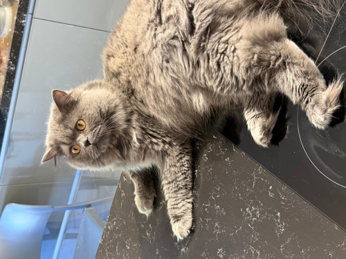 Ares’imizi Sahiplendiriyoruz fotoğraf