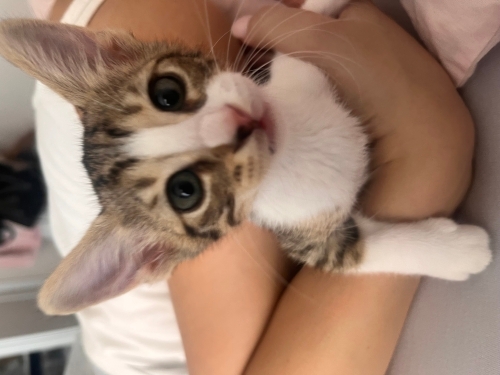 Çuvalın içinde ölüme terk edilmişlerdi fotoğraf