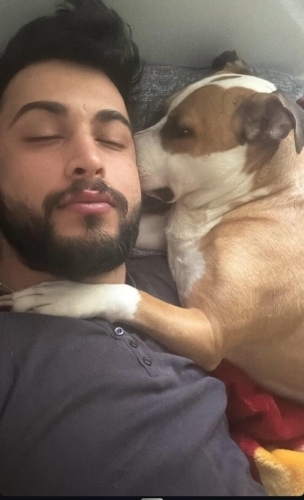 Çok acil yuva arıyoruz fotoğraf