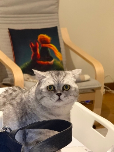Kızımız İçin Sevgi Dolu ve Kalıcı Bir Yuva Arıyoruz fotoğraf