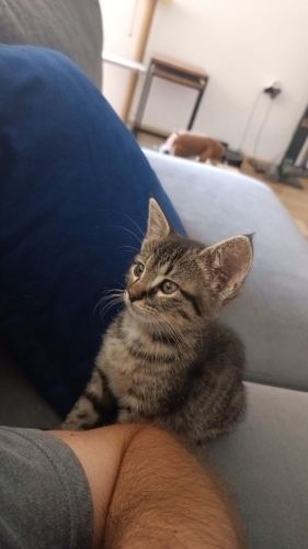 Öksüz yetim ama şanslı fotoğraf